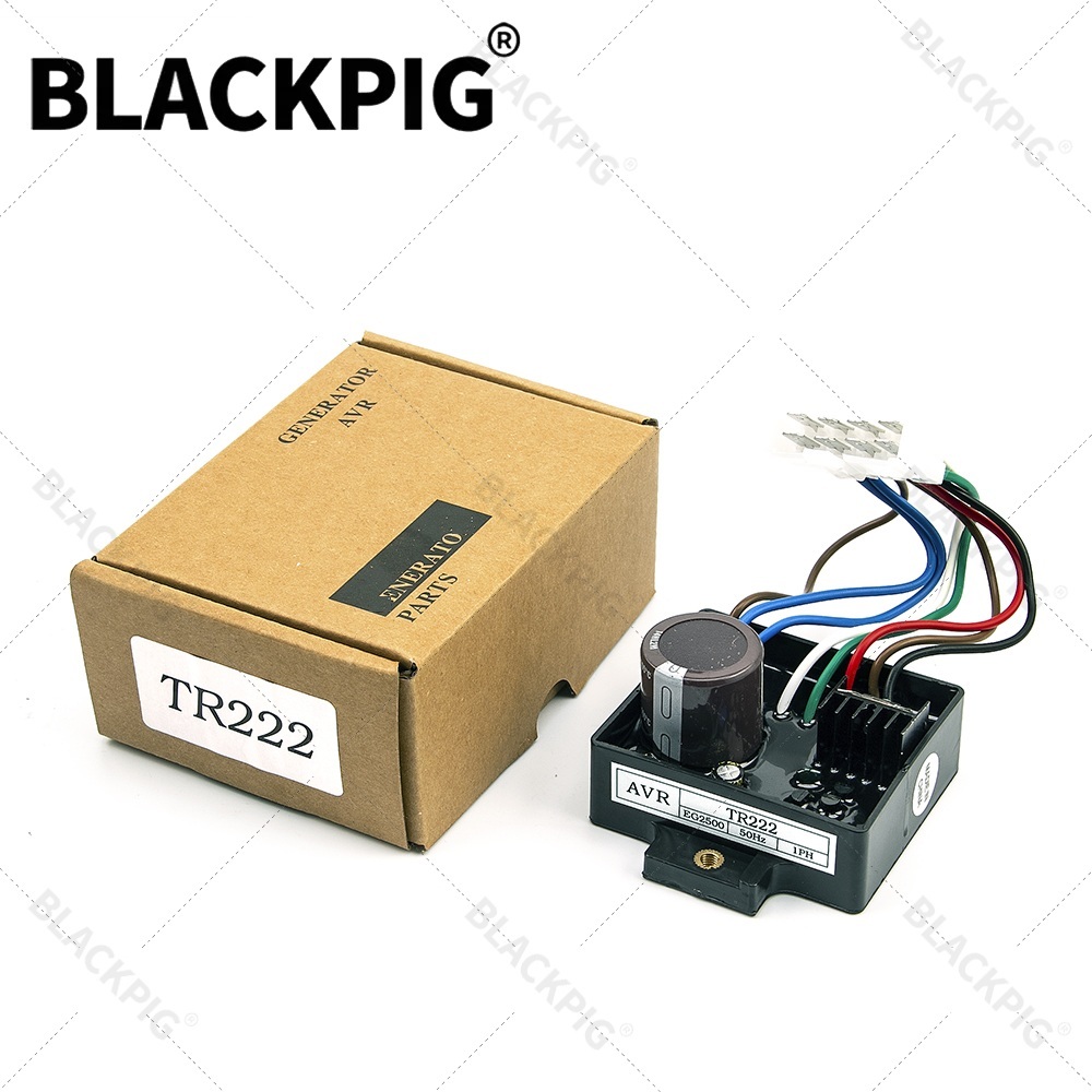 Cycloidal Reducer Bldc Motor - TR222 EG2500 AVR 자동 전압 조정기