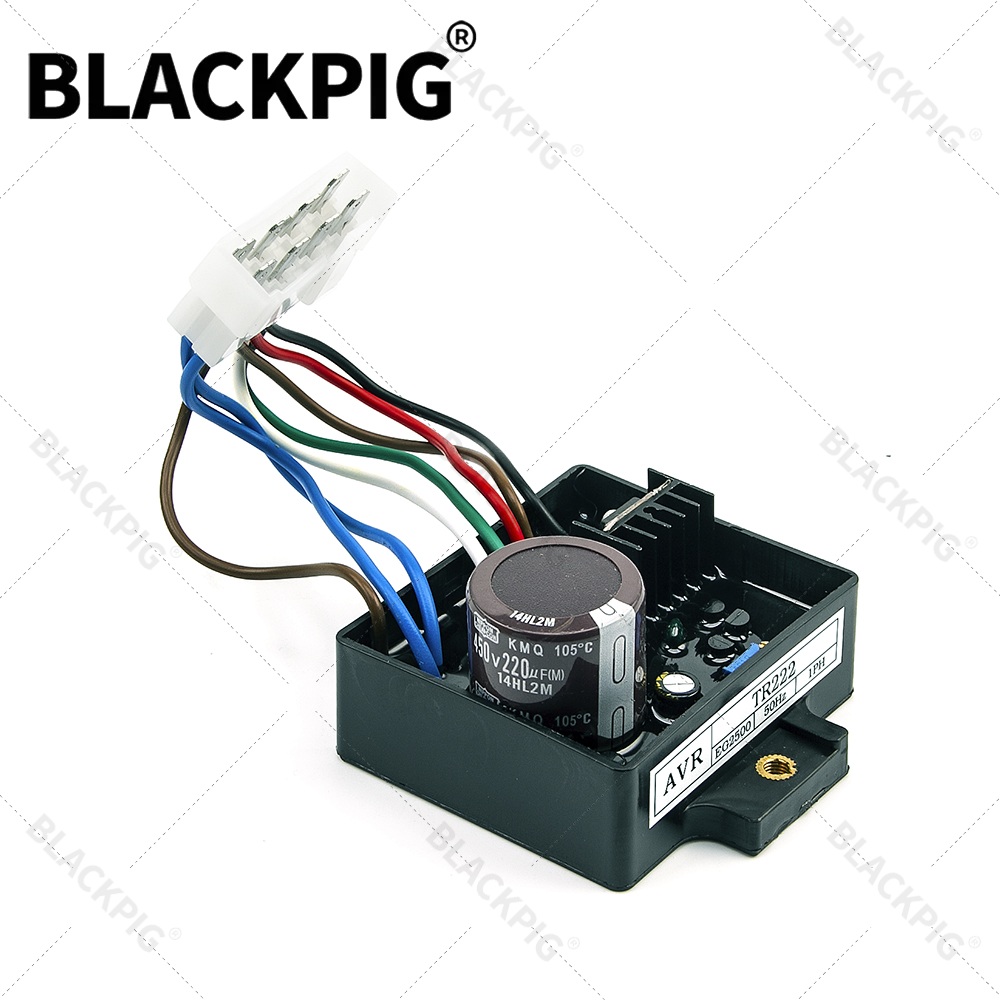 TR222 EG2500 AVR 자동 전압 조정기 안정기 - Cycloidal Reducer Bldc Motor 리뷰 및 가격